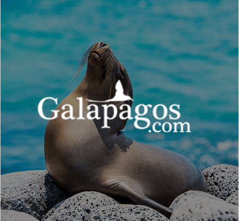 Galapagos.com