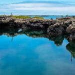 Galapagos.com Digital Marketing Portfolio